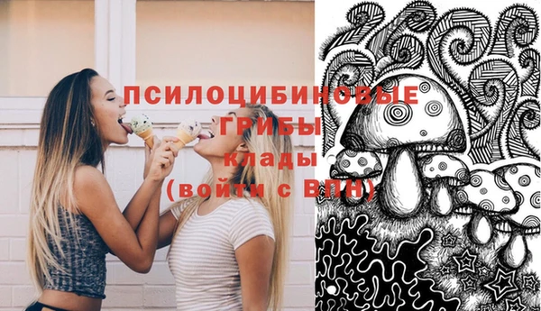 дмт Семёнов