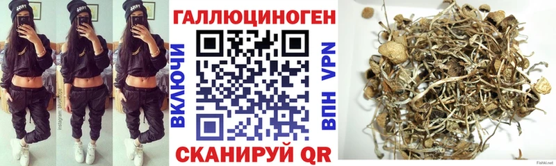 даркнет сайт Билибино Псилоцибиновые грибы Psilocybe